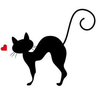 🙁 kot, czarny kot, sylwetka, serce, miłość, zwierzę telegram sticker