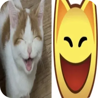 🐱 mèo, động vật, cười, biểu tượng cảm xúc, cười, vui vẻ, mèo con telegram sticker