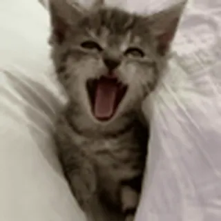 😮