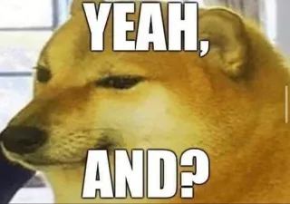 ❓ Doge YEAH, AND? meme, doge, dog, yeah, and telegram sticker