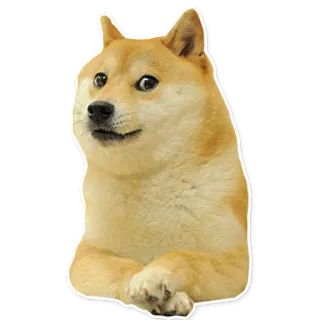 Meme_pack telegram stickers