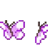 🦋