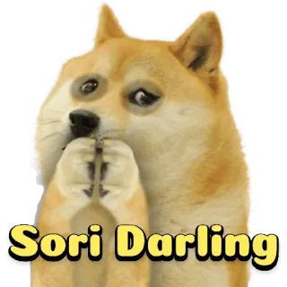 🥺 Sori Darling doge, perro, lo siento, disculpa, cariño, meme telegram sticker