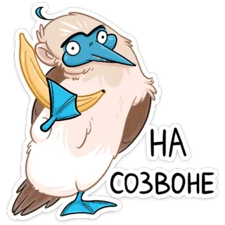 ☎️ НА СОЗВОНЕ птица, животное, мультфильм telegram sticker