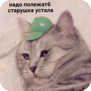 🫥 надо полежать старушка устала telegram sticker