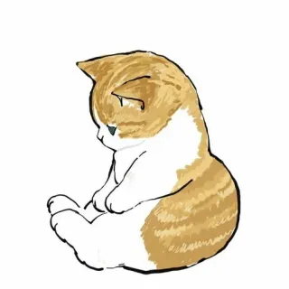 💗 kot, kociak, zwierzę, słodki, zwierzę domowe telegram sticker