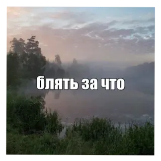 🤷 блять за что Russisch, Schimpfwort, Meme, beleidigend whatsapp sticker