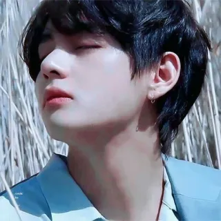 😌 V V, BTS, K-Pop, chanteur, idole, personne telegram sticker