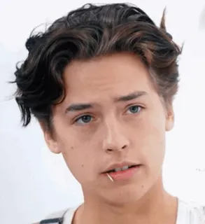 🥀 Cole Sprouse actor, celebrity, portrait, man, teen idol, hair, face telegram sticker
