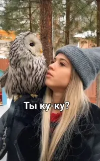 🌟 Ты ку-ку? owl, woman, bird, nature, pet, animal, wildlife telegram sticker