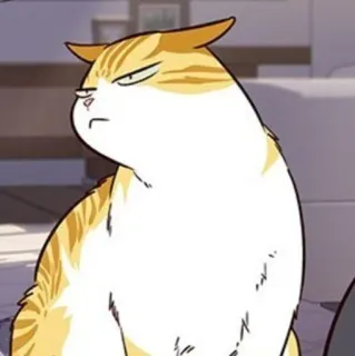 🐈 mèo, tức giận, hoạt hình, thú cưng, meme, hài hước telegram sticker