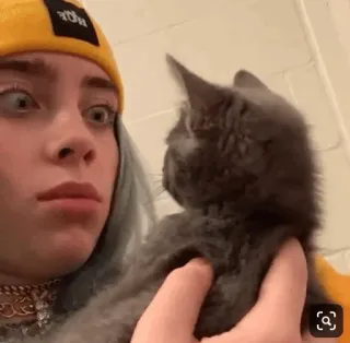 ✨ Billie Eilish Billie Eilish, chat, chaton, chanteuse, bonnet jaune, célébrité telegram sticker