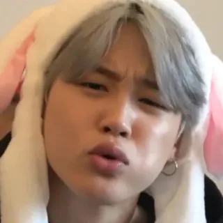 🐾 whatsapp sticker