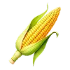🌽