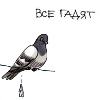 💩 ВСЕ ГАДЯТ oiseau, pigeon, dessin animé whatsapp sticker