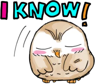 😌 I KNOW! сова, милый, мультик, птица, животное, наклейка telegram sticker