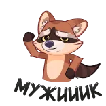 Енот Проха (@TgSticker) telegram stickers