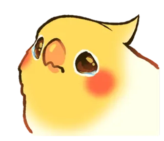 😂 cockatiel, oiseau, pleurs, triste, larmes, emoji whatsapp sticker
