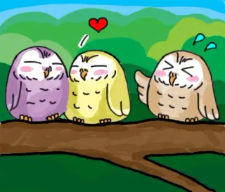 💕 совы, любовь, милые, животные, птицы telegram sticker
