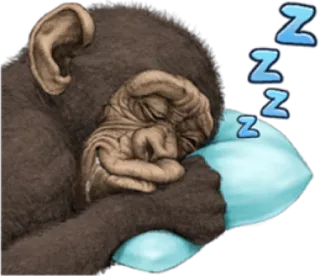 🐵 ZZZ tidur, monyet, hewan, bantal, mimpi, zzz telegram sticker