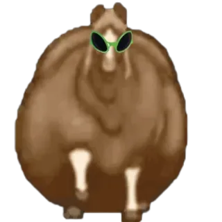 🤩 animal, bear, sunglasses, brown, funny, meme telegram sticker