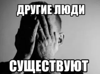 🫣 ДРУГИЕ ЛЮДИ 
СУЩЕСТВУЮТ Meme, Russe, Facepalm, Triste, Personnes, Visage caché telegram sticker