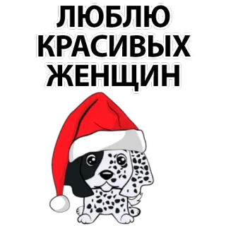 ❤ ЛЮБЛЮ КРАСИВЫХ ЖЕНЩИН dog, santa hat, love, beautiful, women, russian telegram sticker