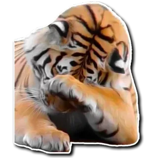 😚 tiger, animal, cat, wildlife, sad, tired, sleepy telegram sticker