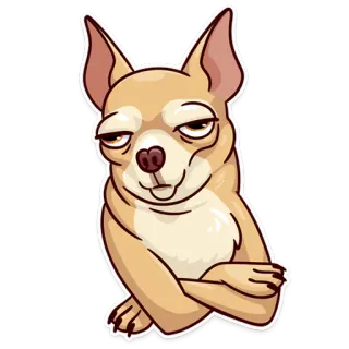 🙄 perro, chihuahua, pegatina, meme, animal, mascota whatsapp sticker