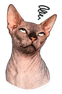 🙄 telegram sticker
