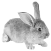gray ➜ @emoji1 telegram emojis 🐇