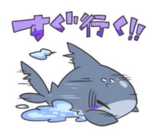 😞 すぐ行く!! tubarão, animal, velocidade, pressa, fofo telegram sticker