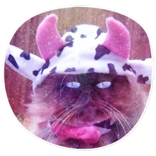 😑 cat, cow, animal, funny, costume telegram sticker