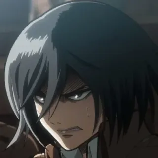 🙂 Mikasa Ackerman Attack on Titan anime, character, determination, serious, manga, fighter telegram sticker