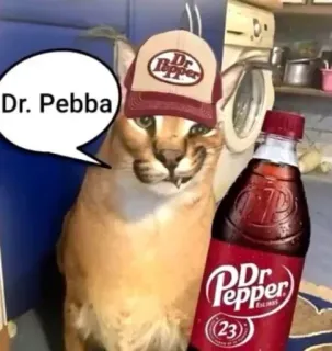 🍒 Dr. Pebba cat, dr pepper, soda, floppa, meme telegram sticker