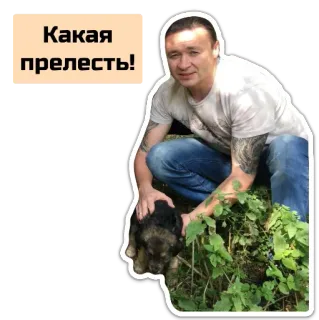 😍 Какая прелесть! ผู้ชาย, หมา, รัสเซีย, ข้อความ, สัตว์, สัตว์เลี้ยง, น่ารัก whatsapp sticker