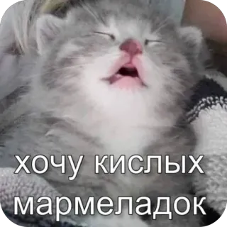 🫥 хочу кислых мармеладок telegram sticker