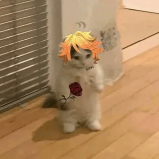 🐈 Emma The Promised Neverland 63194 Anime, Gato, Rosa, Fofo, Mangá, Emma, The Promised Neverland telegram sticker