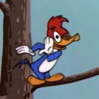😉 Woody Woodpecker cartone animato, Woody Woodpecker, divertente, animazione, cartone animato classico, uccello whatsapp sticker