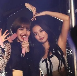🏹 mujeres, kpop, cantante, sonrisa, micrófono, corazón whatsapp sticker