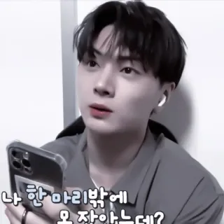 🫐 나 한마리밖엔 몰랐는데? Kpop, Idol, Bonito, Masculino, Selfie, Entretenimento whatsapp sticker