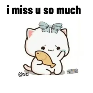 🥺 i miss u so much 猫, 行方不明, 漫画, 悲しい, 魚, 動物 whatsapp sticker