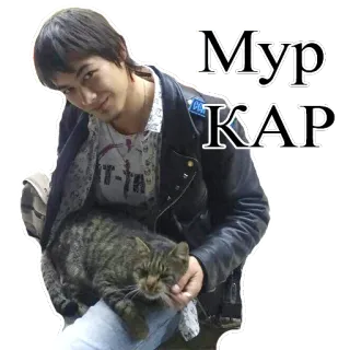 😃 Мур кар 男性, 猫, ペット, ロシア語, ニャー, ひっかき telegram sticker
