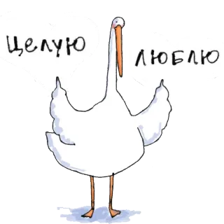 🖕 Целую люблю 새, 사랑, 키스, 만화, 귀여운, 동물 telegram sticker
