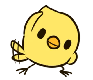 👆 oiseau jaune, animal, mignon, dessin animé, poussin whatsapp sticker