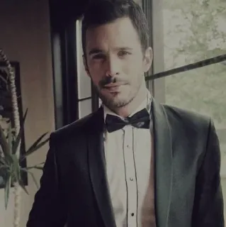 🖇 man, tuxedo, formal wear, portrait, bowtie, handsome telegram sticker