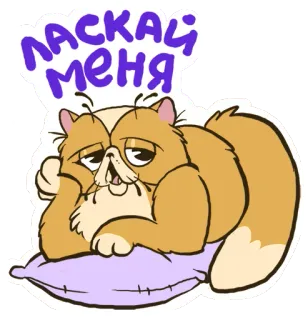 ❤ ЛАСКАЙ МЕНЯ gatto, carino, animale domestico, sticker, divertente, animale telegram sticker