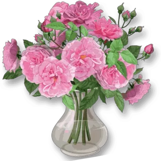 🌹 flowers, roses, vase, pink, bouquet, floral whatsapp sticker