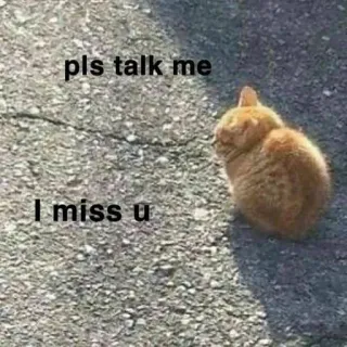 🥺 pls talk me
I miss u кот, одинокий, грустный, скучаю, говорящий, рыжий кот telegram sticker