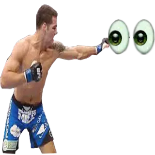 👀 mma, combat, punch, ufc, sports, sports de combat telegram sticker